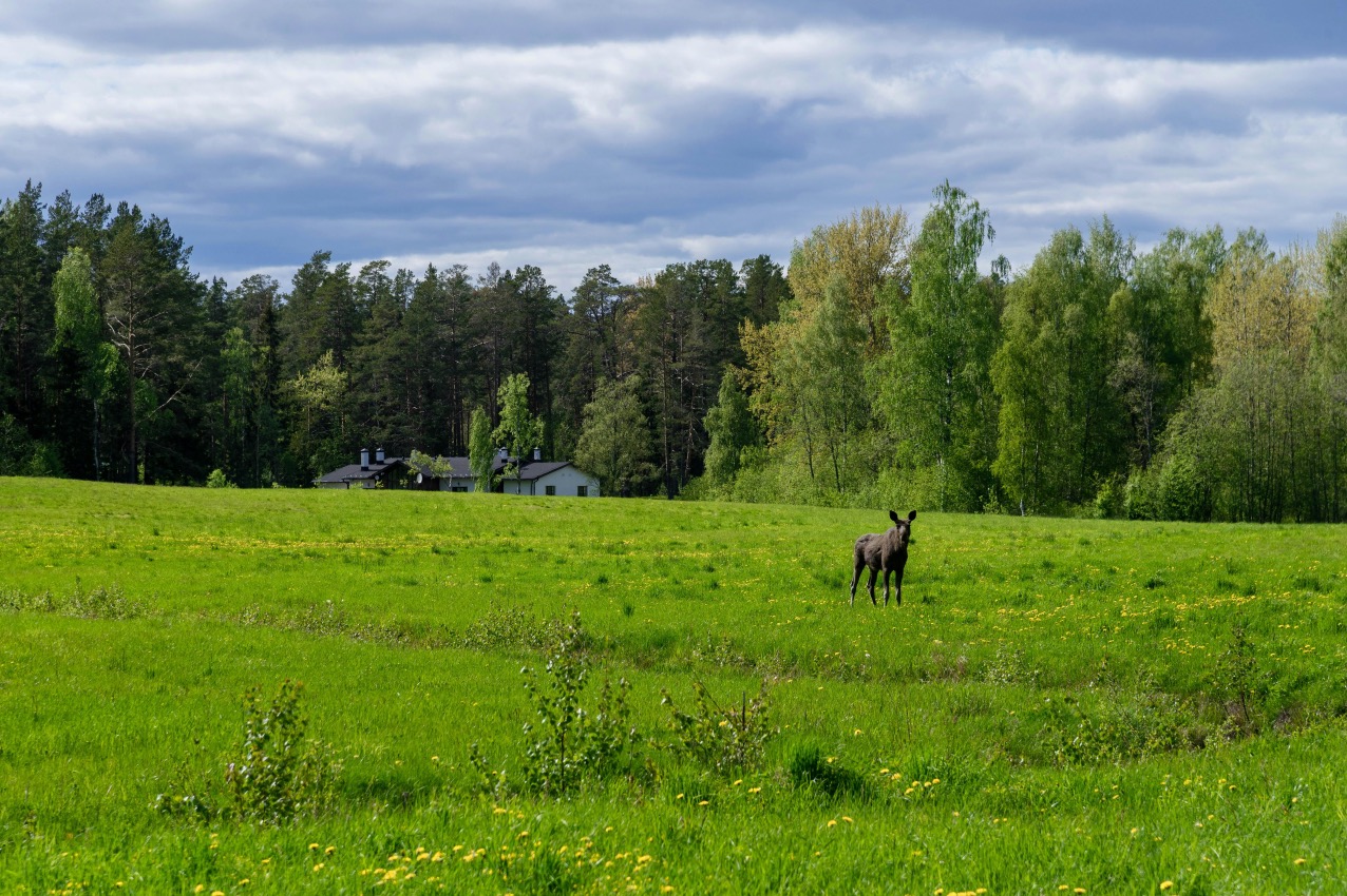 Featured Image